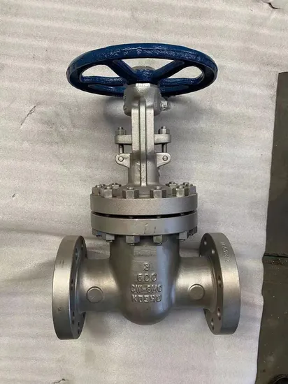 Nickel Alloy Corrosion Resistance Valve